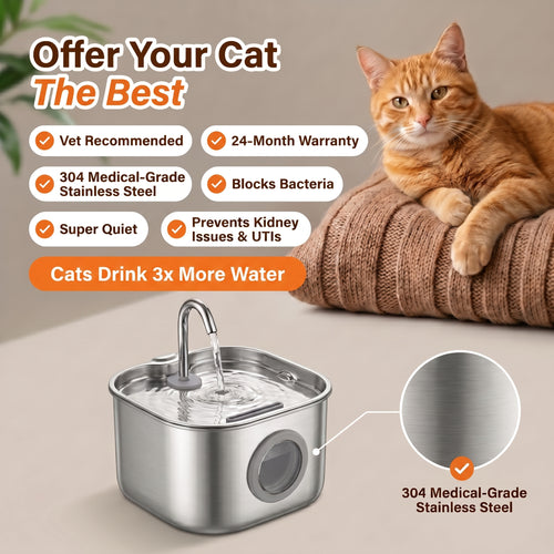 Cat Water Fountain Stainless Steel