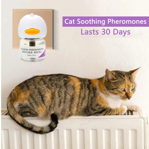 30-Day Calming Pheromone Diffuser Kit for Cats