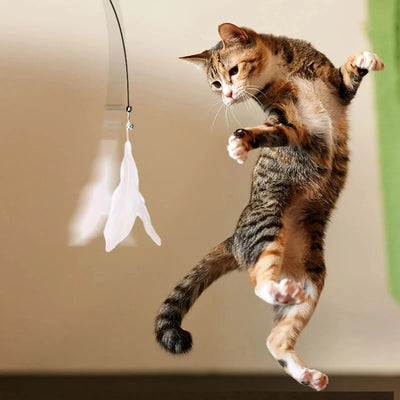 Cat Feather Wand – Bell Teaser with Suction Cup Pole