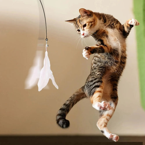 Cat Feather Wand – Bell Teaser with Suction Cup Pole