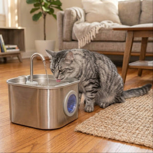 Protects Whiskers, Removes the Pull-Back